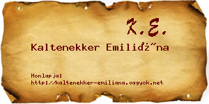 Kaltenekker Emiliána névjegykártya